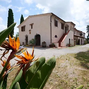 Antichi Palmenti - Erica Alloggio per agriturismo